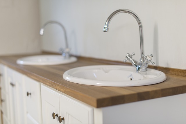 bathroom with two sinks